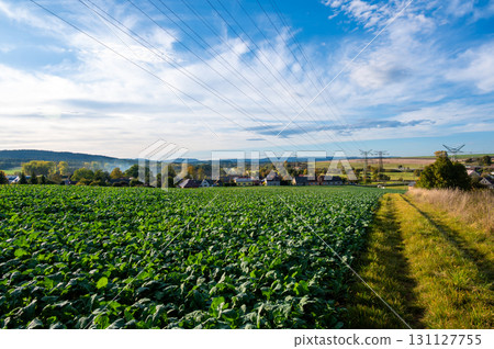 A landscape photo of power lines and transmission towers stretching across an open field with a scenic backdrop of hills and a partly cloudy sky. The image captures the intersection of nature and 131127755
