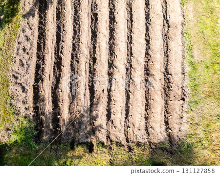 Aerial drone top down view of potato field prepared for growing in small old fashioned garden. Aerial drone top down view of potato field prepared for growing in small old fashioned garden. 131127858