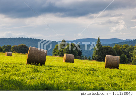 Landscape of Adrspach-Teplice Rocks area, in Hradec Kralove Region in the Czech Republic, Europe. Hay bales scattered across a vibrant green field, framed by distant forests and cloudy skies. 131128043