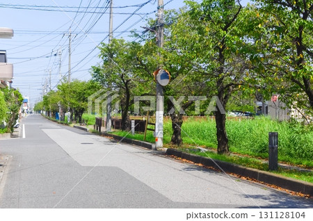 埼玉縣八潮市葛西灌溉渠沿線 2025年9月 131128104