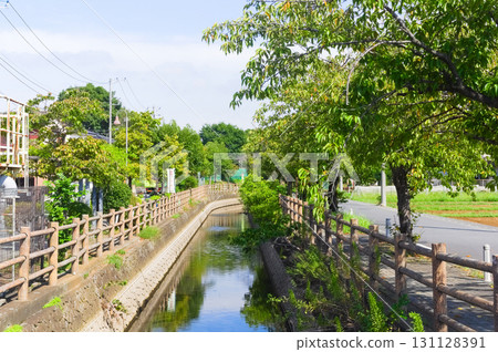 埼玉縣越谷市八丈水道沿線 2025年9月 埼玉縣越谷市八丈水道沿線 2025年9月 131128391