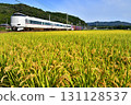 Railway train JR Sagano Line Sanin Main Line Kyoto Exit Limited Express Rice field Rice ears Autumn Harvest Rice Kyoto rice Railway train JR Sagano Line Sanin Main Line Kyoto Exit Limited Express Rice field Rice ears Autumn Harvest Rice Kyoto rice 131128537