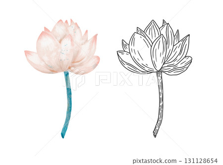 Stunning and Elegant Lotus Flower Illustration with Detailed Line Art Design Elements Stunning and Elegant Lotus Flower Illustration with Detailed Line Art Design Elements 131128654