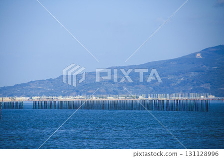 熊本縣宇土市的海苔養殖 熊本縣宇土市的海苔養殖 131128996