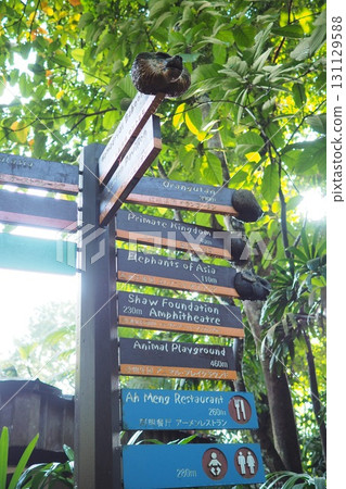 Singapore Zoo information sign Singapore Zoo information sign 131129588