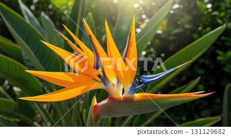 Vibrant Bird of Paradise Flower in Sunlight - Generative Ai 131129682