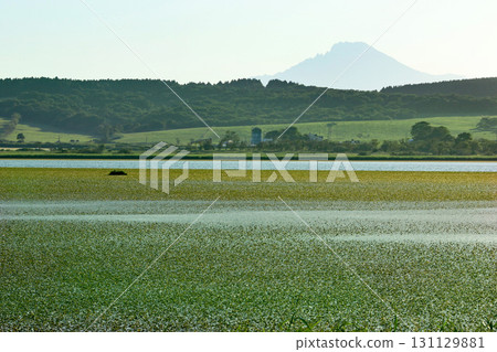 Kabutonuma Park, a must-see spot in Toyotomi Town, Hokkaido 131129881