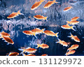 魚兒在學校裡游泳 131129972