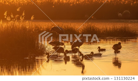 Birds Silhouetted in Sunset Wetland - Generative Ai 131130224