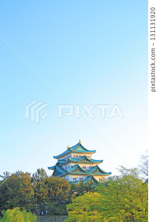 愛知縣名古屋市名古屋城的春天風景 愛知縣名古屋市名古屋城的春天風景 131131920