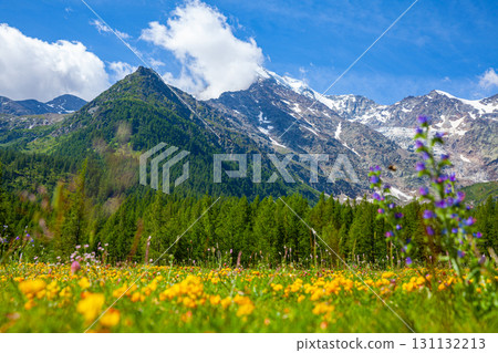 Picturesque highland alpine landscape on Simplon Pass 131132213