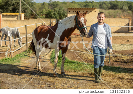 Young man leading horse for walk Young man leading horse for walk 131132336