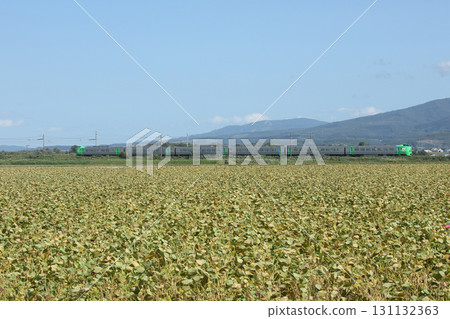 紫丁香特快列車快速穿過物產豐富的空知地區。 131132363