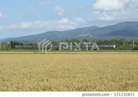 The Kamui express train speeding through the fruitful Sorachi area. Kamui Hakodate Main Line 131132621