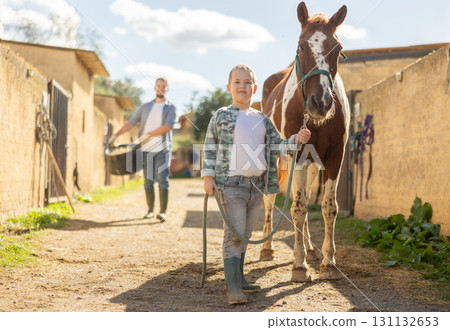 Boy leads horse by leash to feeding Boy leads horse by leash to feeding 131132653