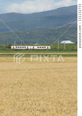 Hakodate Main Line JR Hakodate Main Line Local train Local train Local 131132733