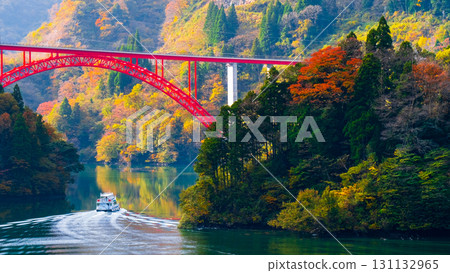 Shogawa Gorge (Autumn) 131132965