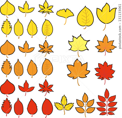 Autumn maple leaves set Autumn maple leaves set 131133061