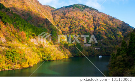 Shogawa Gorge (Autumn) 131133063