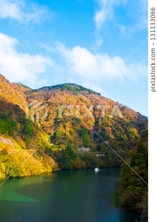 Shogawa Gorge (Autumn) 131133066