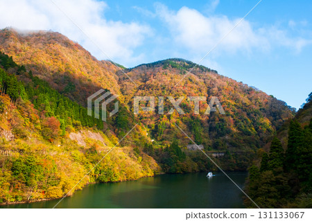 Shogawa Gorge (Autumn) Shogawa Gorge (Autumn) 131133067