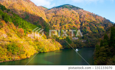 Shogawa Gorge (Autumn) Shogawa Gorge (Autumn) 131133070