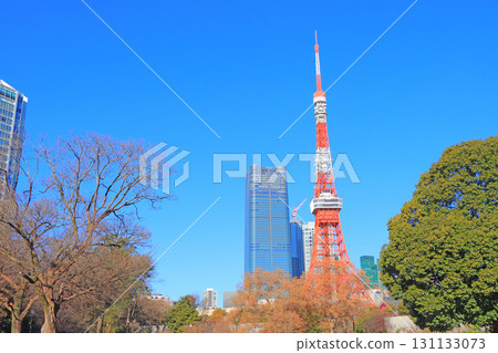 東京都港區東京鐵塔風景 131133073