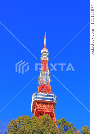 Scenery of Tokyo Tower, Minato-ku, Tokyo Scenery of Tokyo Tower, Minato-ku, Tokyo 131133074