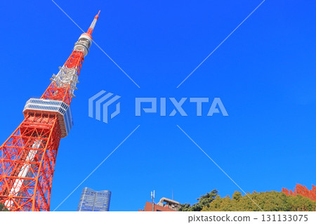 東京都港區東京鐵塔風景 131133075