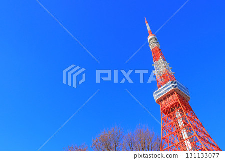 Scenery of Tokyo Tower, Minato-ku, Tokyo 131133077