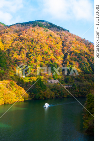 Shogawa Gorge (Autumn) Shogawa Gorge (Autumn) 131133083