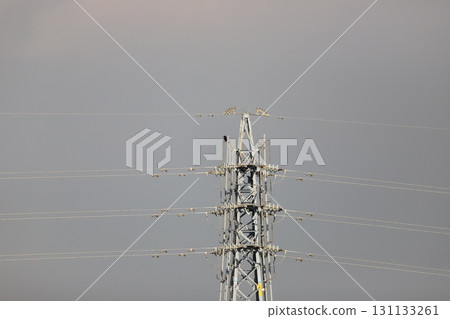 A crow perched on a steel tower 131133261