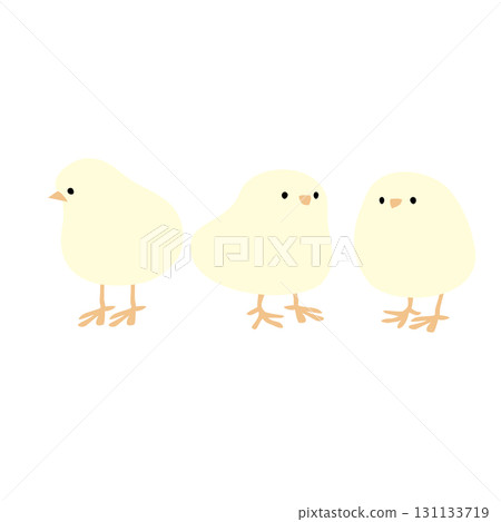 Vector illustration of three cute chicks 131133719