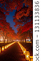 A path lined with lanterns surrounded by autumn leaves 131133836