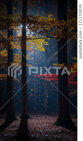 Moonlit autumn forest and fallen leaves Moonlit autumn forest and fallen leaves 131133839