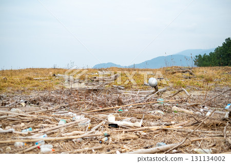 Garbage launched to the shore Garbage launched to the shore 131134002