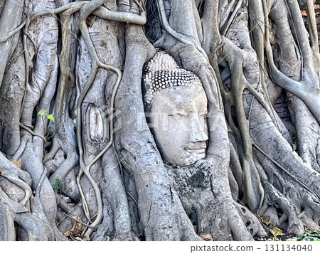 瑪哈泰寺，世界遺產「大城古都」中最著名的寺廟 131134040