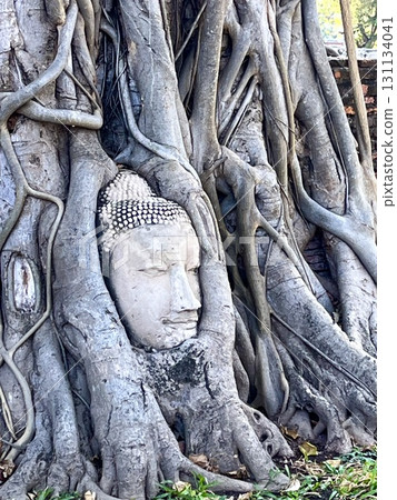 Wat Mahathat, the most famous temple in the World Heritage Site "Ancient Capital of Ayutthaya" Wat Mahathat, the most famous temple in the World Heritage Site "Ancient Capital of Ayutthaya" 131134041