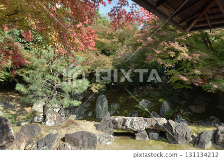 秋季的圓德院北庭園(京都市東山區) 秋季的圓德院北庭園(京都市東山區) 131134212