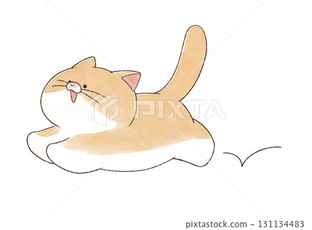 A cat running in a good mood A cat running in a good mood 131134483