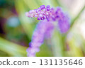 Yaburan 131135646
