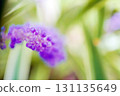 Yaburan 131135649