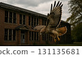 A hawk at school!? A cool moment I wanted to share 131135681