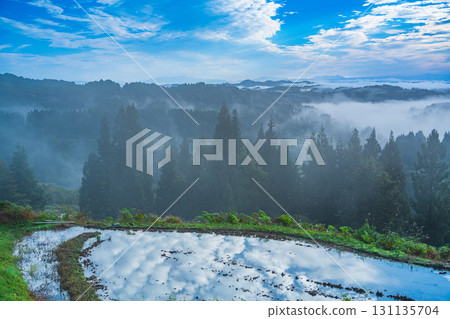 [Niigata Prefecture] Autumn morning mist surrounds the rice terraces at Hoshi Pass 131135704