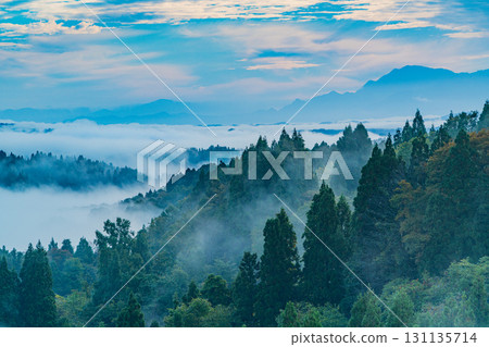 【新潟縣】秋日清晨，薄霧籠罩著星峠梯田 131135714