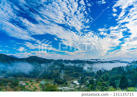 【新潟縣】秋日清晨，薄霧籠罩著星峠梯田 131135715