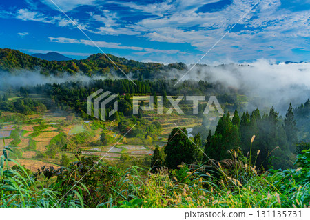 [Niigata Prefecture] Autumn morning mist surrounds the rice terraces at Hoshi Pass 131135731
