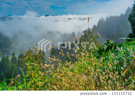 【新潟縣】秋日清晨,薄霧籠罩著星峠梯田 【新潟縣】秋日清晨,薄霧籠罩著星峠梯田 131135732