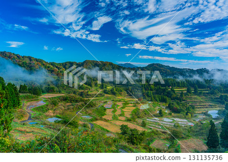 [Niigata Prefecture] Autumn morning mist surrounds the rice terraces at Hoshi Pass 131135736