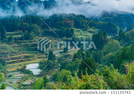 【新潟縣】秋日清晨，薄霧籠罩著星峠梯田 131135741